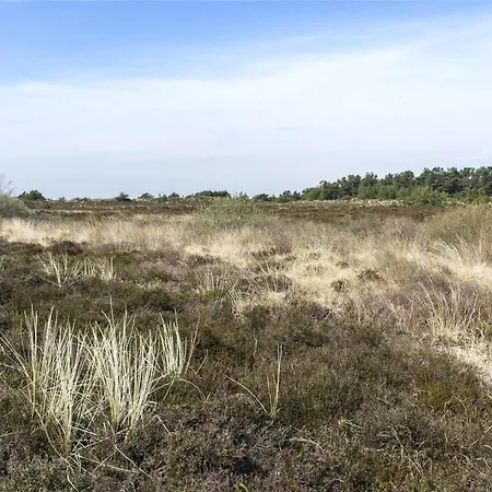 0049-romo-magevej-5 *